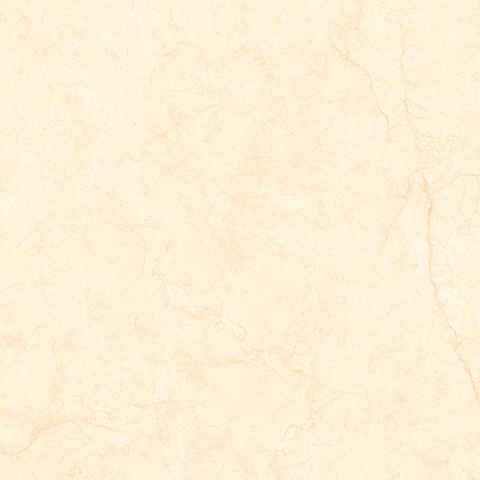 SAVERY-21.E.660.0045